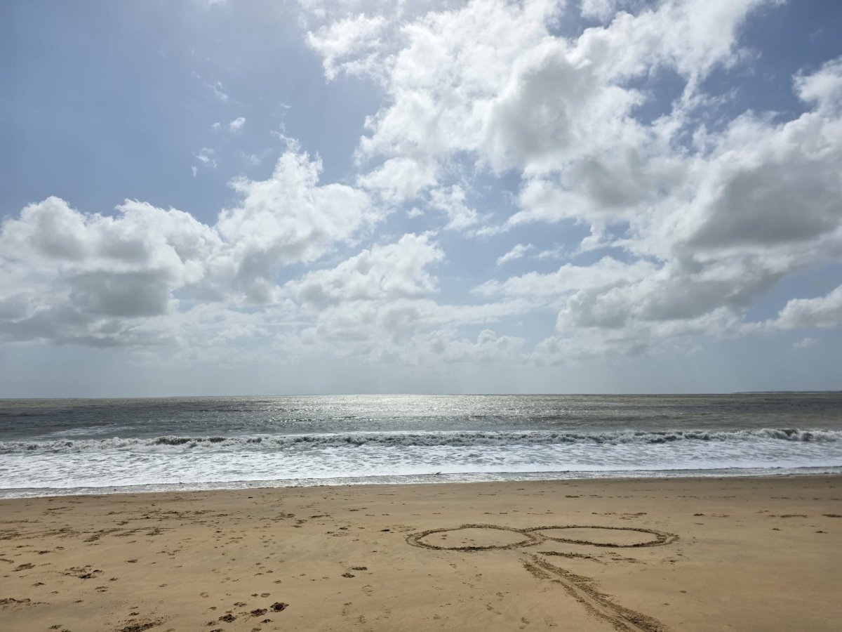 le paysage